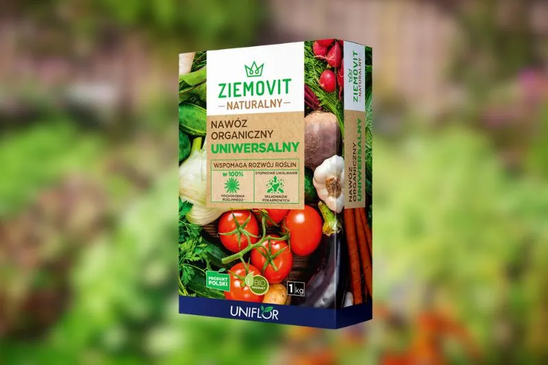 Ziemovit-STRONA_2_